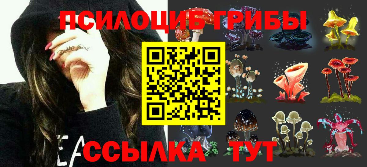 Мончегорск  Псилоцибиновые грибы Cubensis  Вход с VPN  Псилоцибиновые грибы Magic Shrooms 